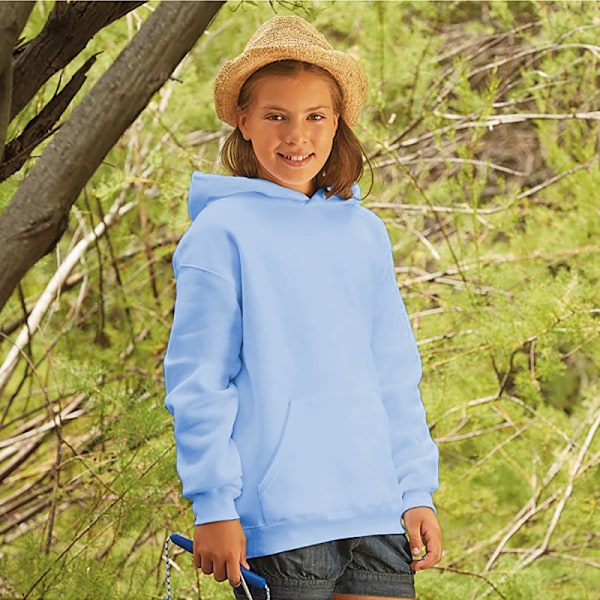 Fruit Of The Loom Kids Unisex Premium 70/30 Hooded Sweatshirt / Sky Blue 14-15 Years