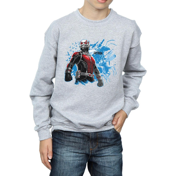 Marvel Boys Ant-Man Stående Sweatshirt 9-11 År Sports Grey Sports Grey 9-11 Years