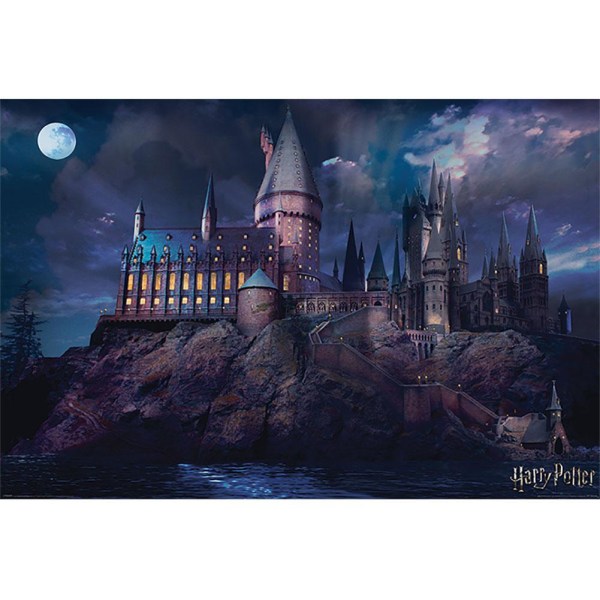 Harry Potter Hogwarts Scene Poster En Storlek Flerfärgad Multi Coloured One Size