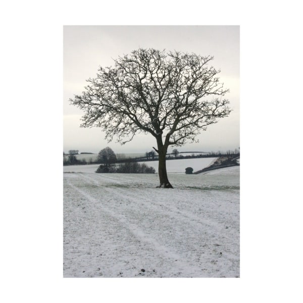 Kevin Milner Cope Farm Tree Julkort One Size Off White/C Off White/Cream/Grey Print One Size