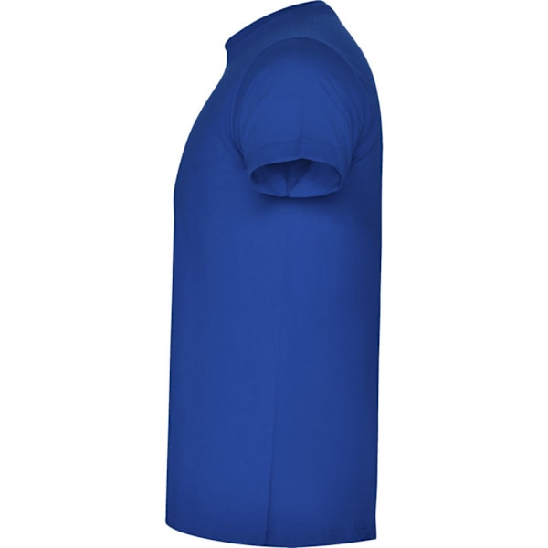 Roly Unisex Adult Atomic T-shirt XXL Royal Blue Royal Blue XXL