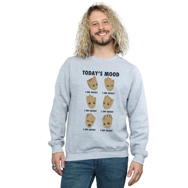 Marvel Herr Guardians Of The Galaxy Groot Today´s Mood Sweatshirt Sports Grey 3XL