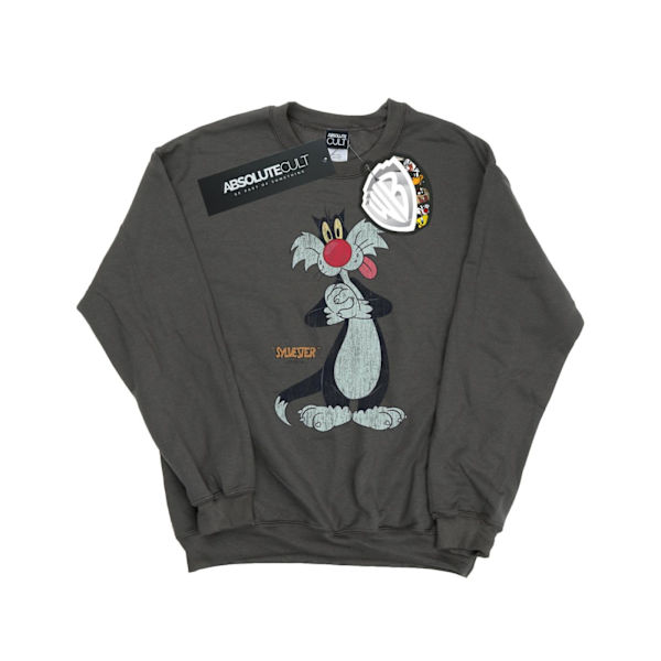 Looney Tunes Dam/Damer Sylvester Distressed Sweatshirt M Ch Charcoal M