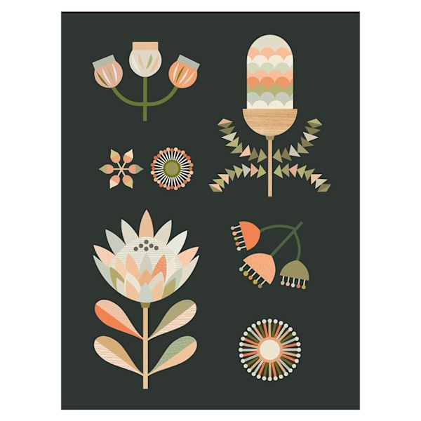 Lyndy Hants Australian Natives II Canvas Print 50cm x 40cm Mult Multicoloured 50cm x 40cm