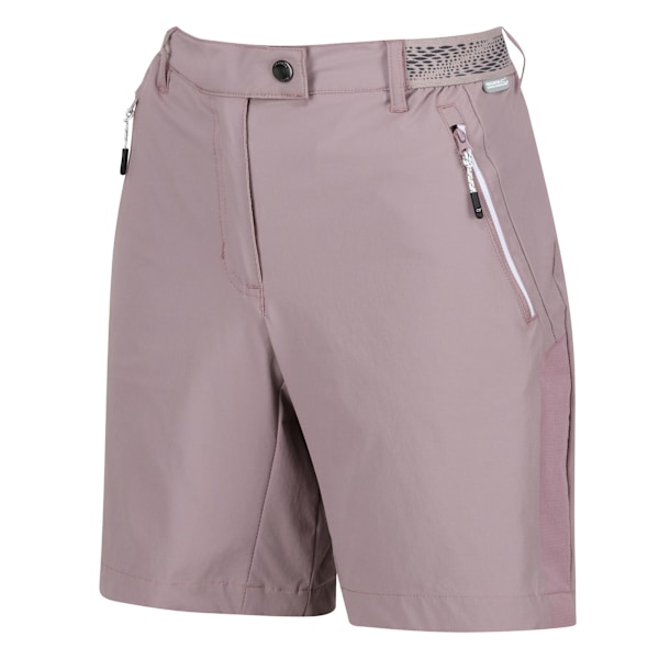 Regatta Mountain II Shorts för Kvinnor/Dam Storlek 20 UK Heather Heather 20 UK