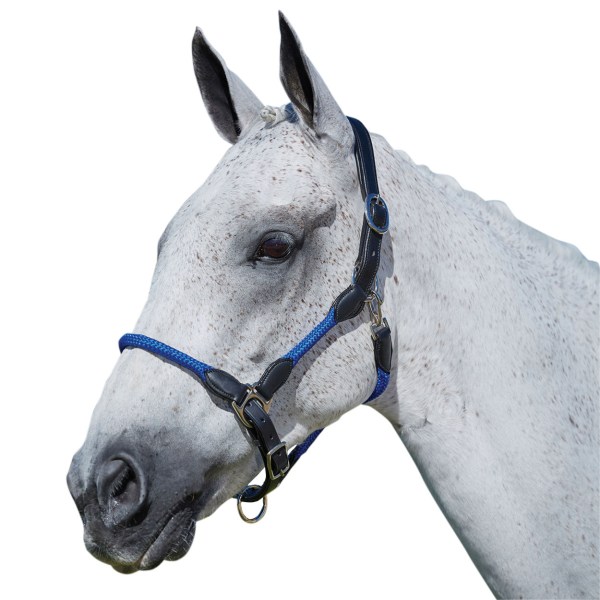 Kincade läderrep Headcollar helblå Blue Full