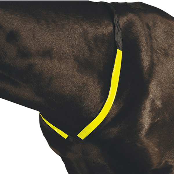 Roma Reflexbröstplatta En Storlek Gul Yellow One Size