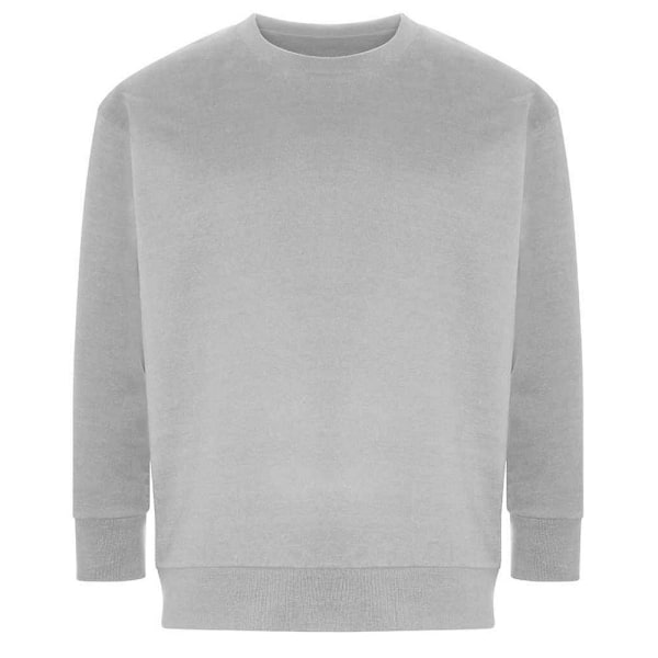 Ecologie Unisex Vuxen Crater Sweatshirt XL Heather Grey Heather Grey XL
