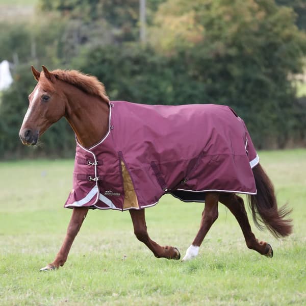 Highlander Plus Standard-Neck 100g Hästtäcke 6´ 9 Maro Maroon 6´ 9