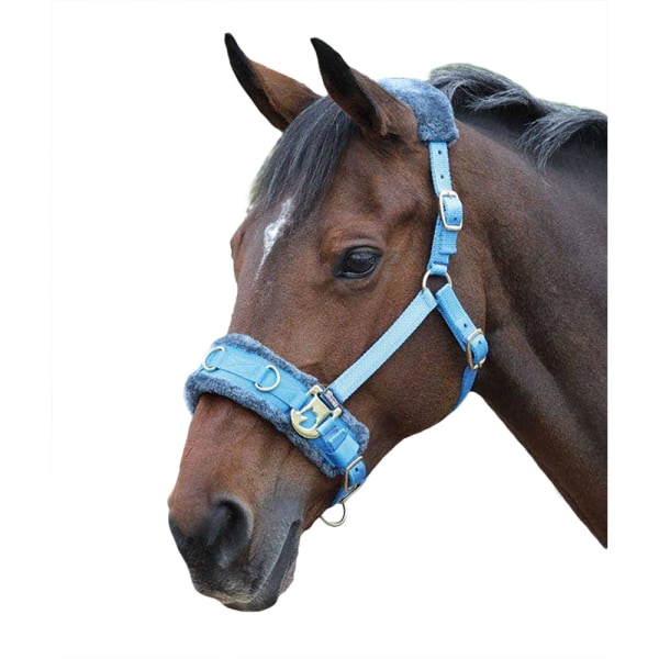Shires Fleece Fodrad Plysch Horse Lunge Cavesson Pony Blue Blue Pony