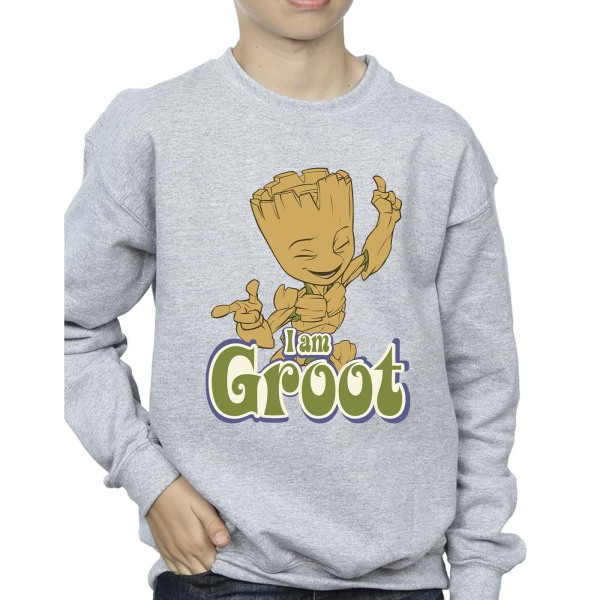 Guardians Of The Galaxy Boys Groot Dancing Sweatshirt 12-13 Ja Sports Grey 12-13 Years