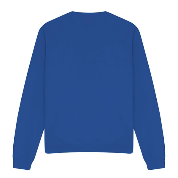 Ren & Stimpy Unisex Vuxen Glad, Glad Helg Jul Tröja Royal Blue L