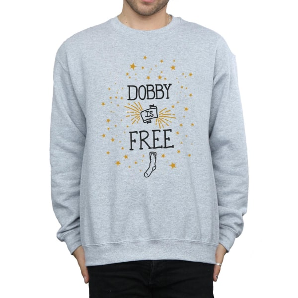 Harry Potter Herr Dobby Is Sweatshirt L Sports Grey Sports Grey L