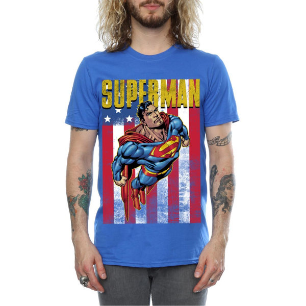 Superman Mens Flight Cotton T-Shirt L Royal Blue Royal Blue L