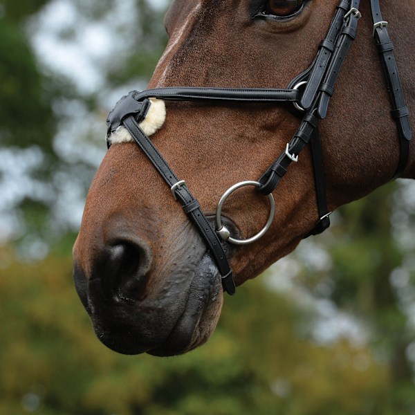 Collegiate Comfitec Grackle Läder Hästgrimma Cob Svart Black Cob