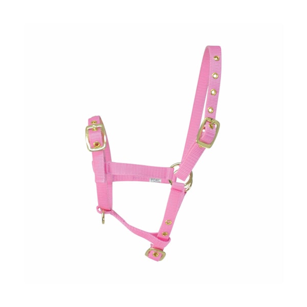 Hy Foal huvudlag En storlek rosa Pink One Size