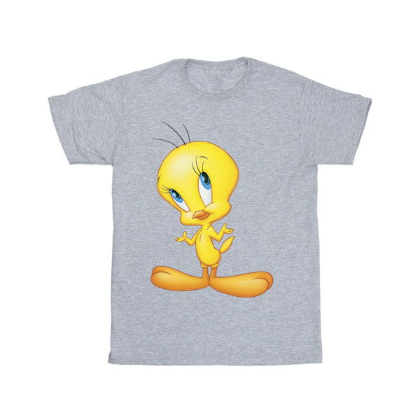 Looney Tunes Tweety stående T-shirt 4XL Sports Grey Sports Grey 4XL