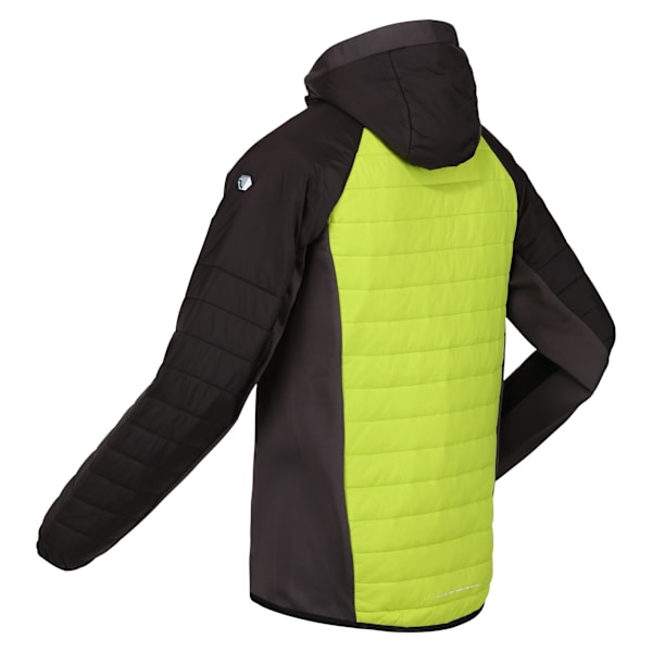 Regatta Trutton huvtröja med mjukt skal för män S Bright Kiwi/Bla Bright Kiwi/Black S