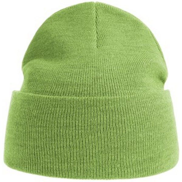 Atlantis Unisex Vuxen Ren Beanie i Ren Återvunnen Material En Storlek Acid Lime Acid Lime One Size