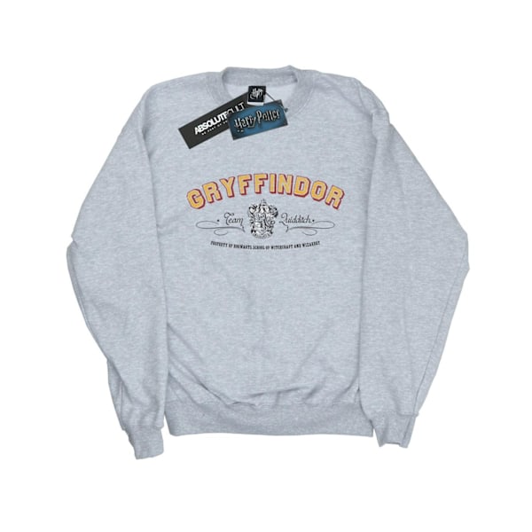 Harry Potter Pojkar Gryffindor Team Quidditch Sweatshirt 7-8 År Sports Grey 7-8 Years