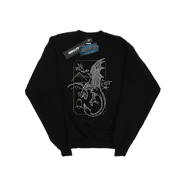 Harry Potter Dam/Kvinnor Dragon Line Art Sweatshirt M Svart Black M