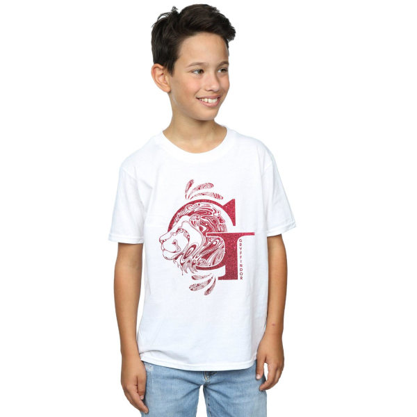 Harry Potter Boys Gryffindor Glitter T-shirt 12-13 år Vit White 12-13 Years