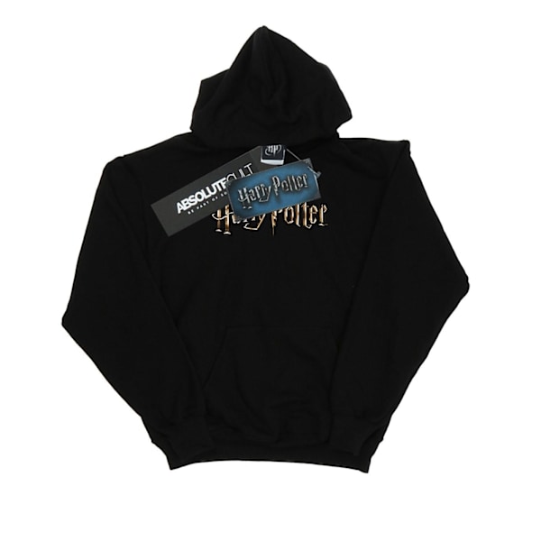 Harry Potter Girls Full Colour Logo Hoodie 9-11 år Svart Black 9-11 Years