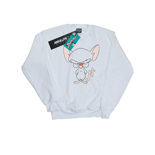 Animaniacs Mens The Brain Classic Pose Sweatshirt L Vit White L