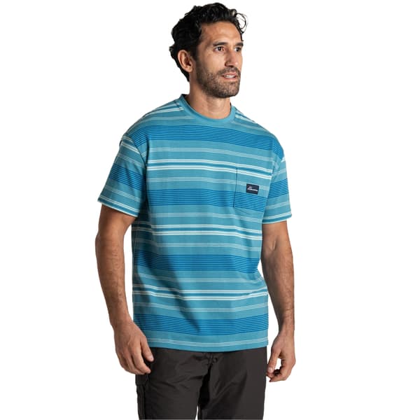 Craghoppers Herr Pointer Randig Kortärmad T-shirt M Tranquil Tranquil Blue M