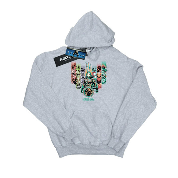 DC Comics Herr Aquaman Unite The Kingdoms Hoodie 3XL Sports Grå Sports Grey 3XL