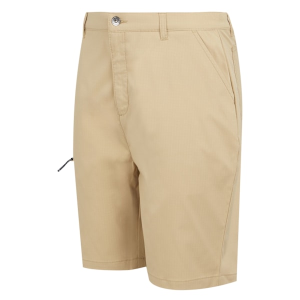Regatta Dalry Multi Pocket Shorts 33R Oat för män Oat 33R
