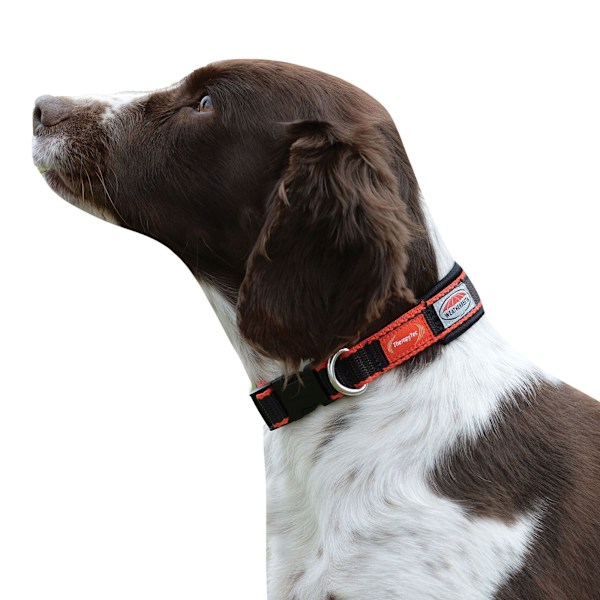 Weatherbeeta Therapy-Tec Hundhalsband M Svart/Röd Black/Red M