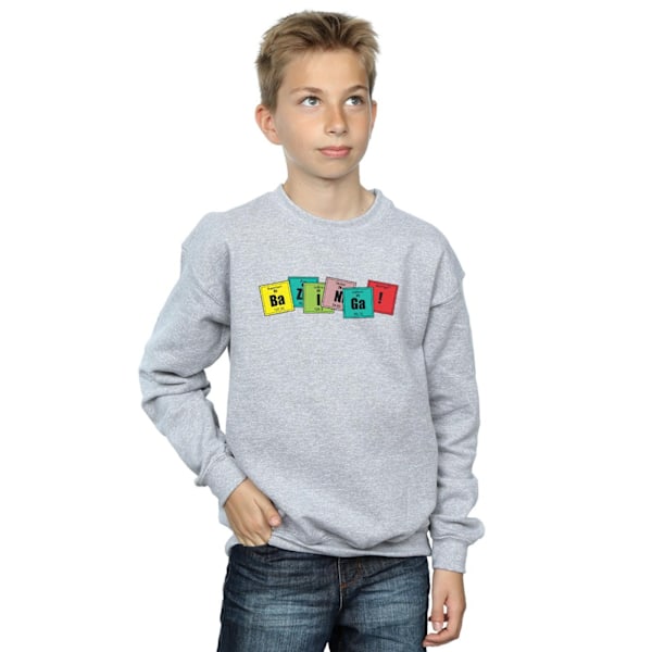 The Big Bang Theory Boys Bazinga Elements Sweatshirt 5-6 år Sports Grey 5-6 Years