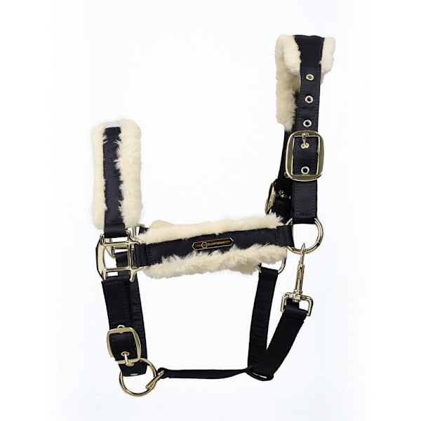 Coldstream Langlee Lyxig Hästgrimma och Ledrep Pony Marinblå Navy Pony
