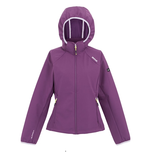 Regatta Dam/Kvinnor Bourda Soft Shell Jacka 16 UK Sunset Pur Sunset Purple/Lilac Frost 16 UK