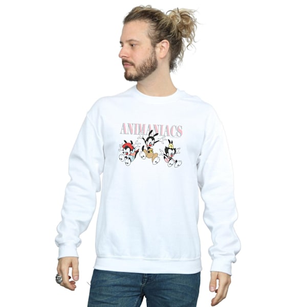 Animaniacs Herr Grupp Hopp Sweatshirt 4XL Vit White 4XL