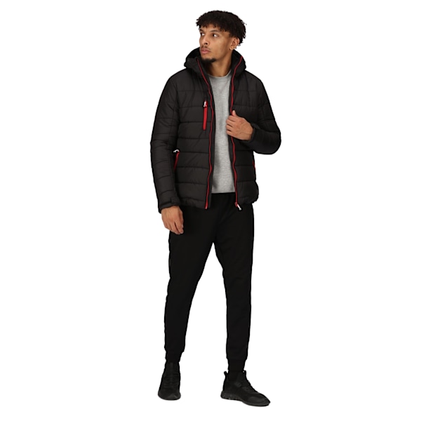 Regatta Professional Herr Värme Vadderad Jacka S Svart/Klassisk Black/Classic Red S