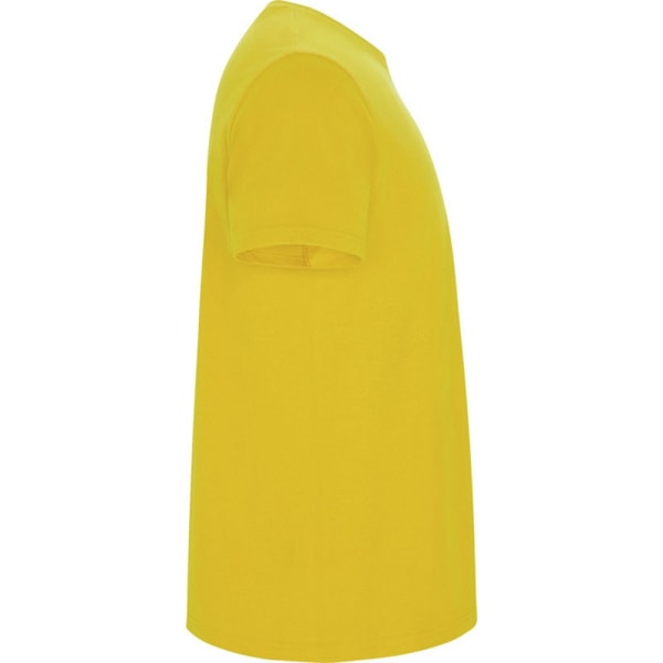 Roly Barn/Barn Stafford Kortärmad T-shirt 9-10 År Y Yellow 9-10 Years