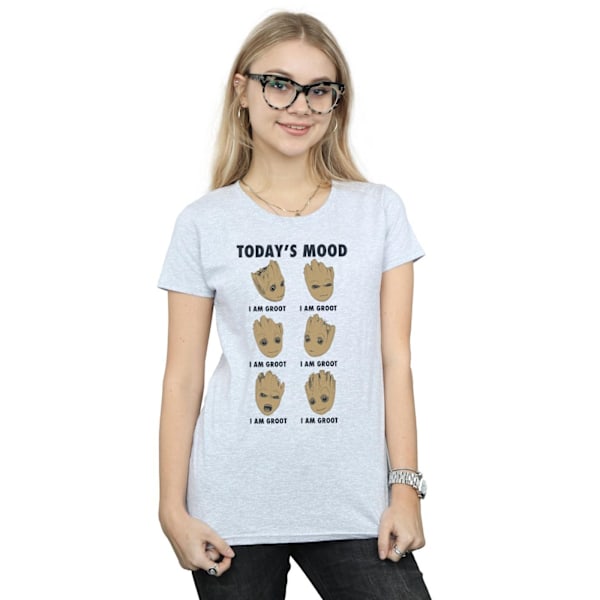 Guardians Of The Galaxy Dam/Kvinnor Today´s Mood Baby Groot T Sports Grey L