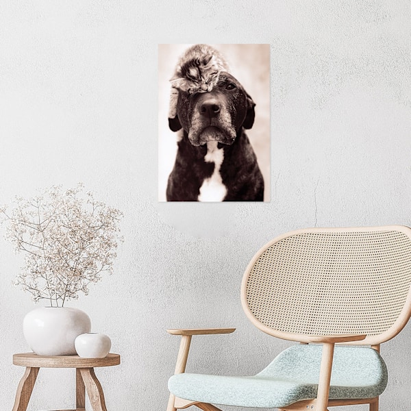 Rachael Hale Loki's kattungtryck 40cm x 30cm svart/vit Black/White 40cm x 30cm
