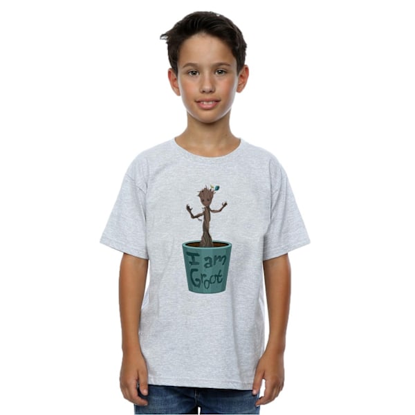 Marvel Boys Guardians Of The Galaxy Groot Blomkruka T-shirt 12 Sports Grey 12-13 Years