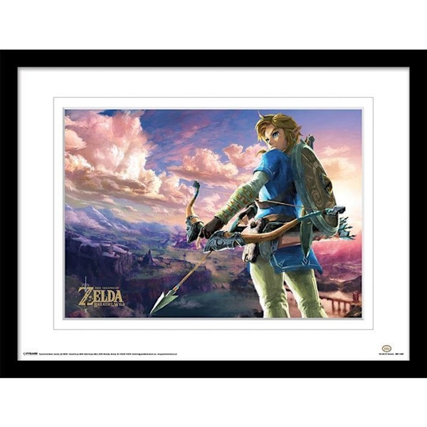 The Legend Of Zelda Breath Of The Wild Inramad Tryck 40cm x 30cm Blue/Green 40cm x 30cm