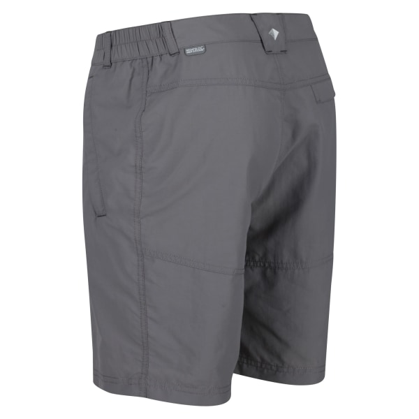 Regatta Mens Leesville II Walking Shorts 42in Ash Ash 42in