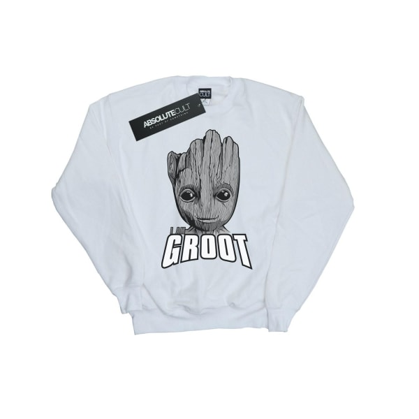 Marvel Girls Guardians Of The Galaxy Groot Face Sweatshirt 9-11 White 9-11 Years