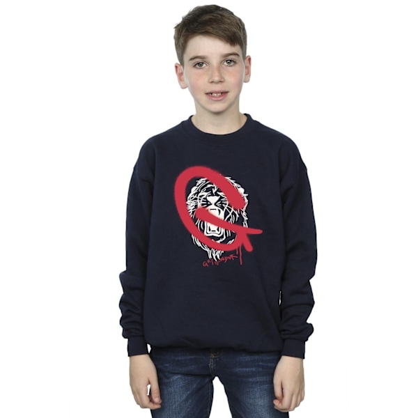 Harry Potter Boys Gryffindor Pop Spray Sweatshirt 12-13 år N Navy Blue 12-13 Years