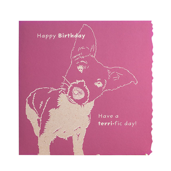 Deckled Edge Colour Block Animal Gratulationskort En Storlek Glad Happy Birthday Have A Terri-fic Day One Size