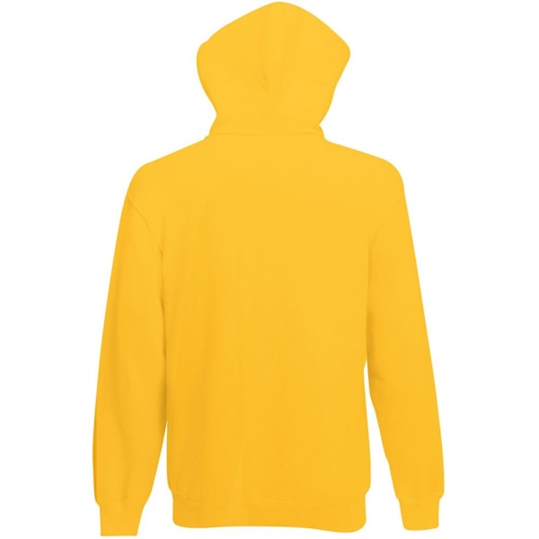 Fruit Of The Loom Herr Hoodie / Tröja XL Solros Sunflower XL