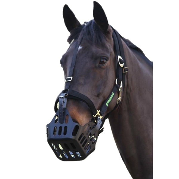 GreenGuard Horse Headcollar Full Black Black Full