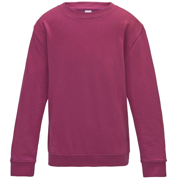 AWDis Just Hoods Barn/Barn Plain Crew Neck Sweatshirt 7-8 Hot Pink 7-8 Years