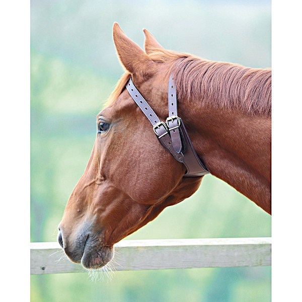 Shires Läder Anti-Crib Häst Krage Cob Australian Nut Australian Nut Cob